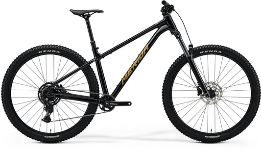 Merida Big Trail 300